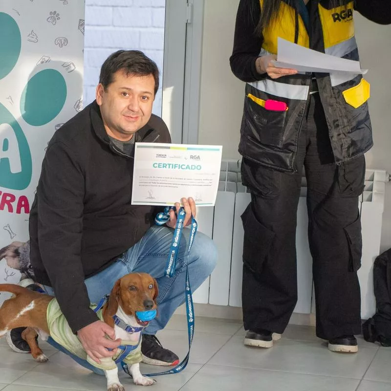 Imagen relacionada