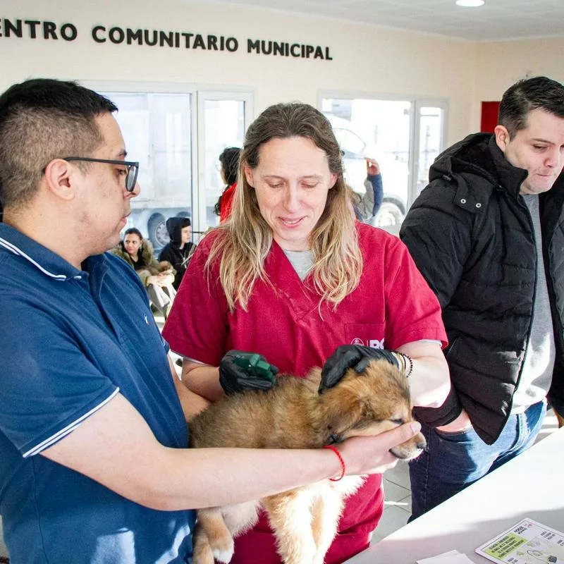 Imagen relacionada