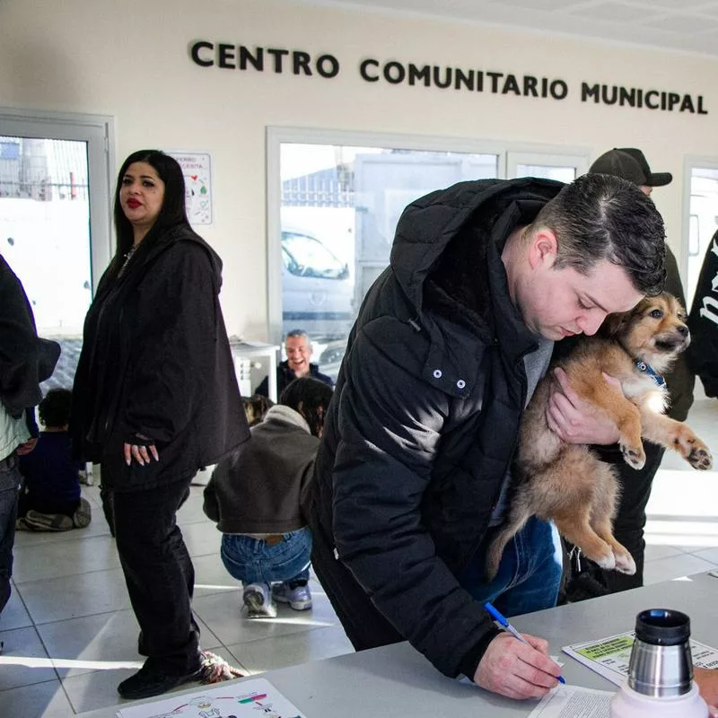Imagen relacionada