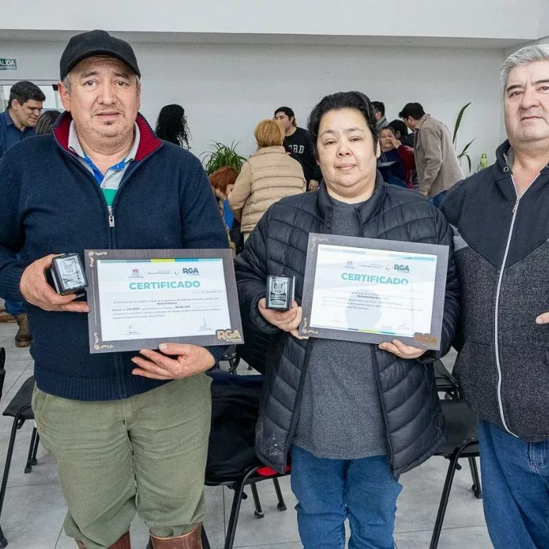 Imagen relacionada